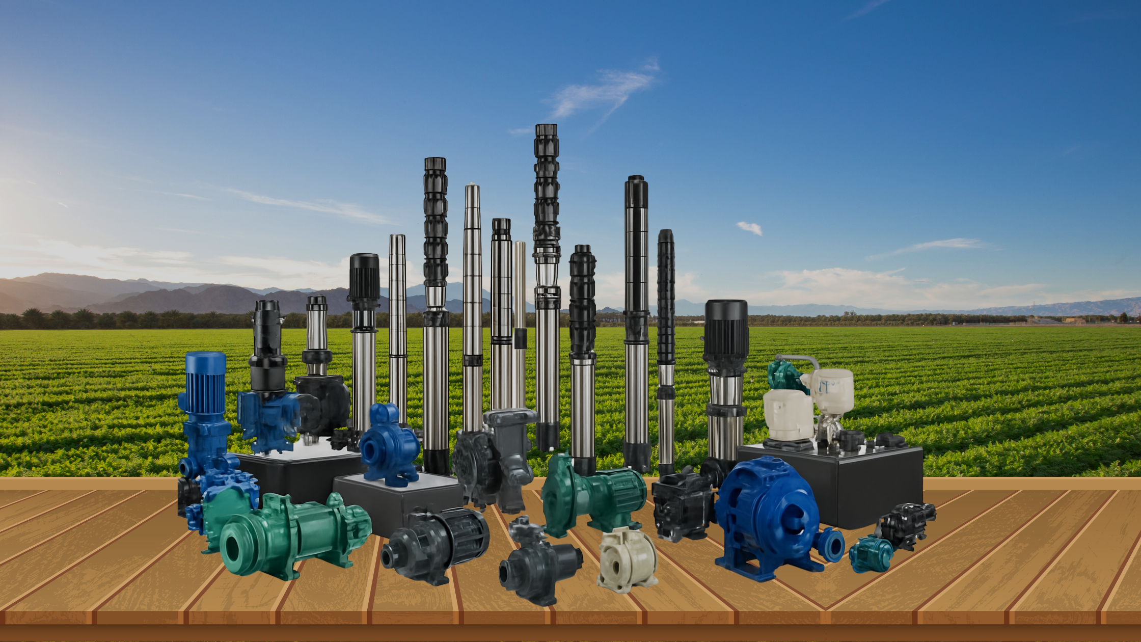 Untitled design - 2025-08-29T154731.033