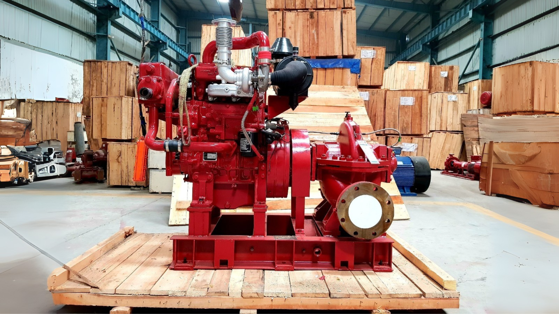 Untitled design - 2025-09-05T153525.636